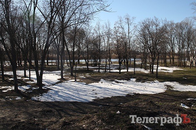 В Кременчуге, в районе остановки «Улица Андрея Ковалева», появится бесплатный пляж В Кременчуге, в районе остановки «Улица Андрея Ковалева», появится бесплатный пляж