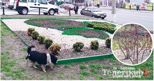 Як закопують наші гроші Як закопують наші гроші