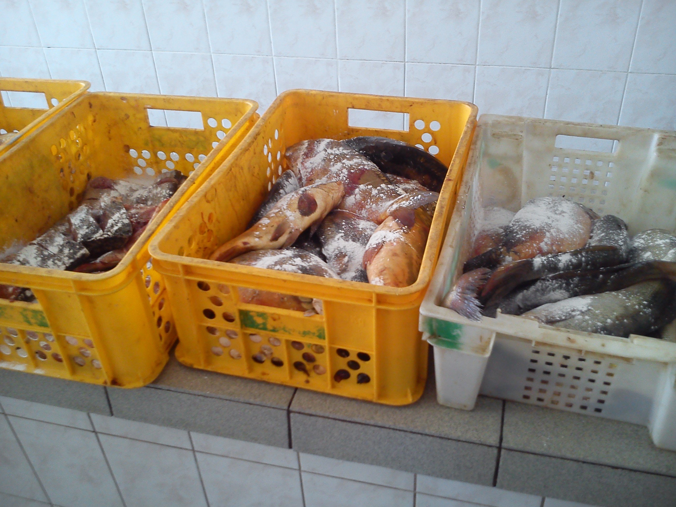 На кременчугских рынках изъяли 200 кг «левой» рыбы На кременчугских рынках изъяли 200 кг «левой» рыбы