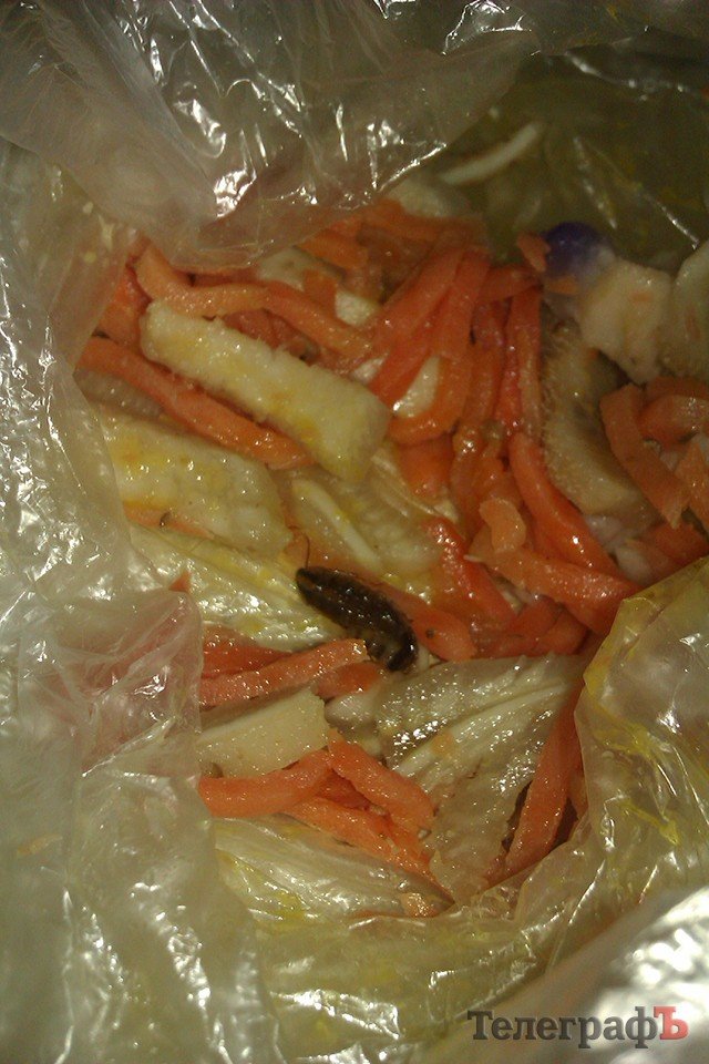 Наодинці з тарганом: кременчужани все частіше скаржаться «Телеграфу» на неякісні продукти Наодинці з тарганом: кременчужани все частіше скаржаться «Телеграфу» на неякісні продукти