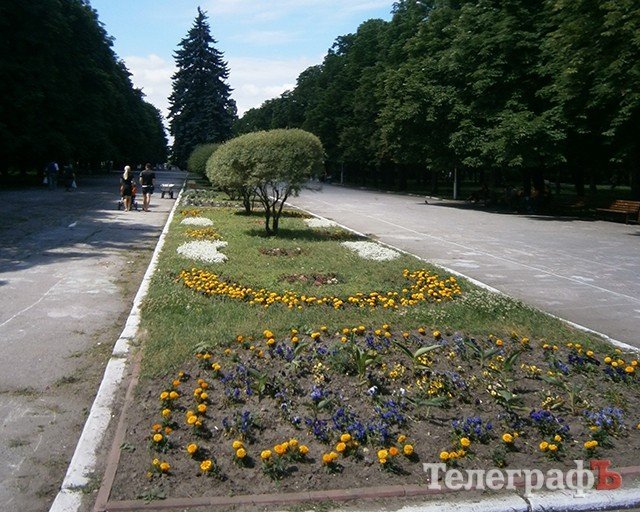 При входе на Центральную алею Приднепровского парка первая клумба не засажена цветами и заросла травой При входе на Центральную алею Приднепровского парка первая клумба не засажена цветами и заросла травой