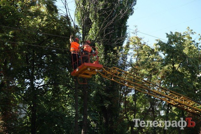 Коммунальщики рубят отмирающие каштаны Коммунальщики рубят отмирающие каштаны