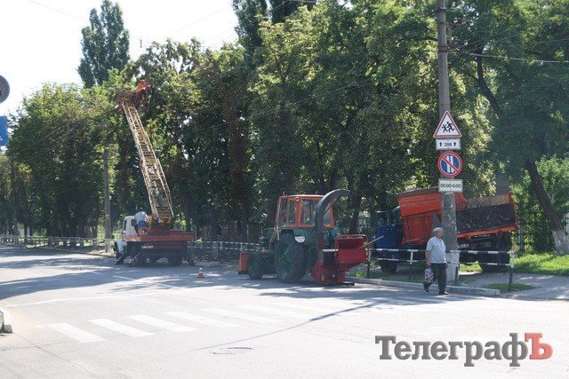 Коммунальщики рубят отмирающие каштаны Коммунальщики рубят отмирающие каштаны