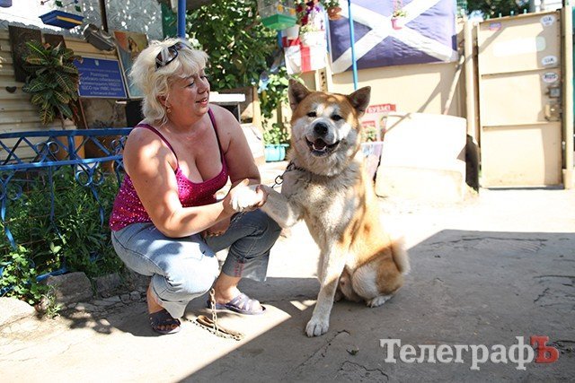 Собачий вихователь Собачий вихователь