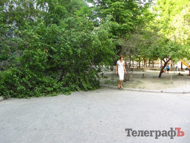 На ул.Мира в Кременчуге упавшее дерево третий день перегораживает дорогу На ул.Мира в Кременчуге упавшее дерево третий день перегораживает дорогу