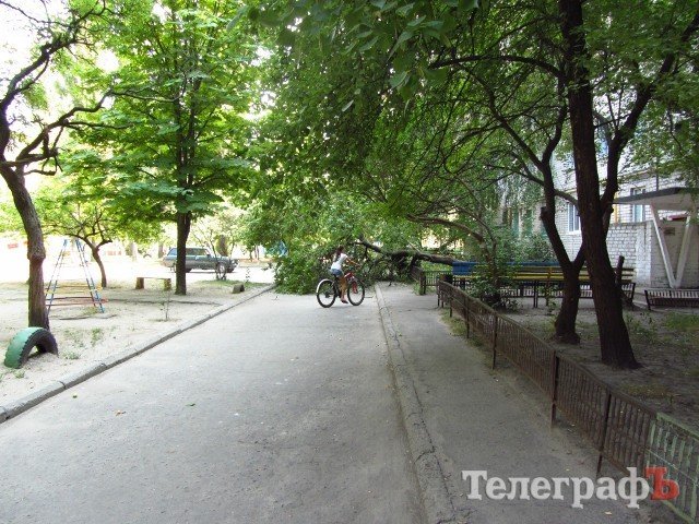 На ул.Мира в Кременчуге упавшее дерево третий день перегораживает дорогу На ул.Мира в Кременчуге упавшее дерево третий день перегораживает дорогу
