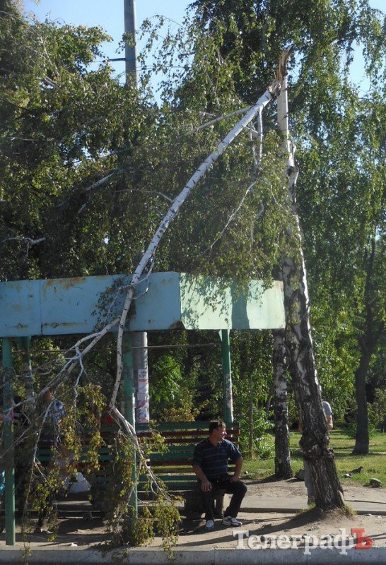 Сломанное дерево на остановке «Крюковский мост» в любой момент может упасть на кременчужан Сломанное дерево на остановке «Крюковский мост» в любой момент может упасть на кременчужан