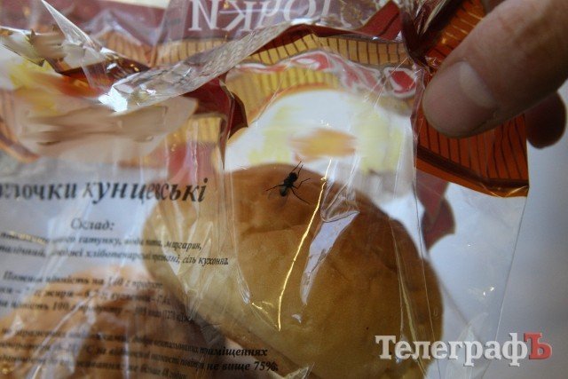 The Fly Returns: Кременчужанин купил в супермаркете упаковку булочек с живой мухой The Fly Returns: Кременчужанин купил в супермаркете упаковку булочек с живой мухой