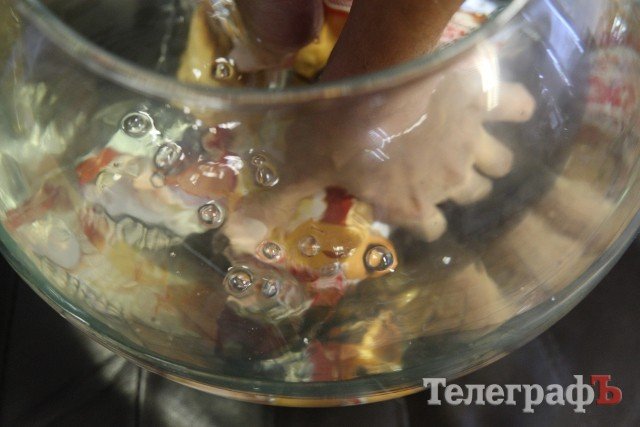 The Fly Returns: Кременчужанин купил в супермаркете упаковку булочек с живой мухой The Fly Returns: Кременчужанин купил в супермаркете упаковку булочек с живой мухой