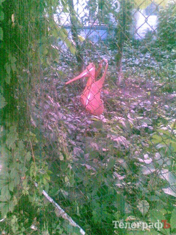 Приколы нашего городка: ЗО-ЛУ-ШКА-А-А-А!!! Приколы нашего городка: ЗО-ЛУ-ШКА-А-А-А!!!