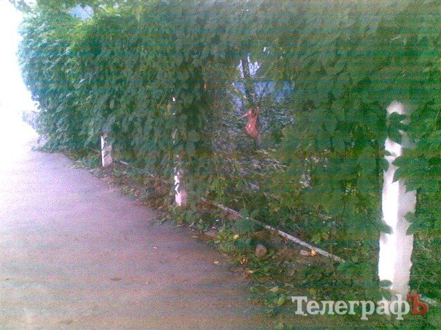 Приколы нашего городка: ЗО-ЛУ-ШКА-А-А-А!!! Приколы нашего городка: ЗО-ЛУ-ШКА-А-А-А!!!