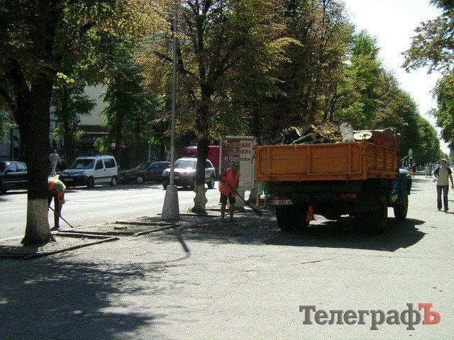 Липы на ул.Ленина в Кременчуге пытаются спасти, но уже думают посадить новые Липы на ул.Ленина в Кременчуге пытаются спасти, но уже думают посадить новые