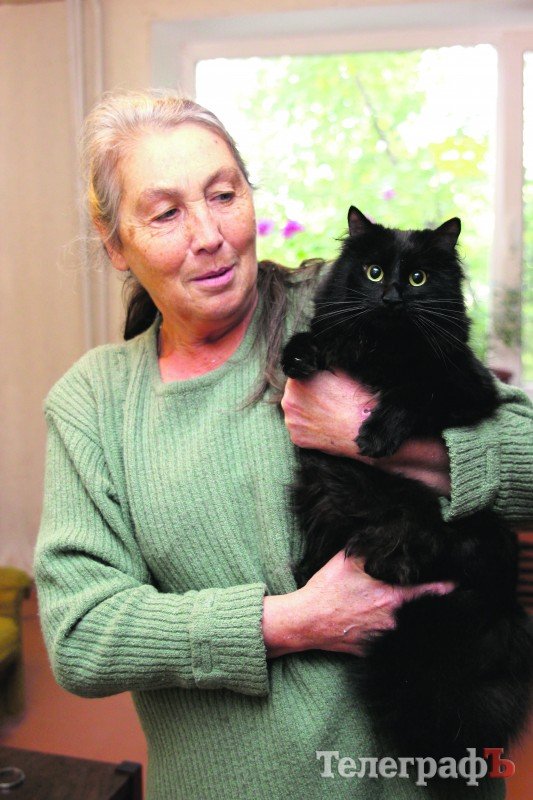 «Мне везет, если черный кот дорогу перейдет» «Мне везет, если черный кот дорогу перейдет»