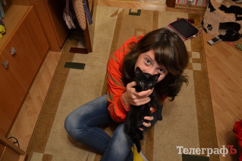 «Мне везет, если черный кот дорогу перейдет» «Мне везет, если черный кот дорогу перейдет»