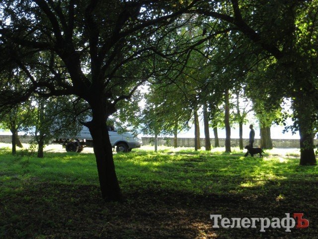 В Приднепровском парке заблудился грузовик В Приднепровском парке заблудился грузовик