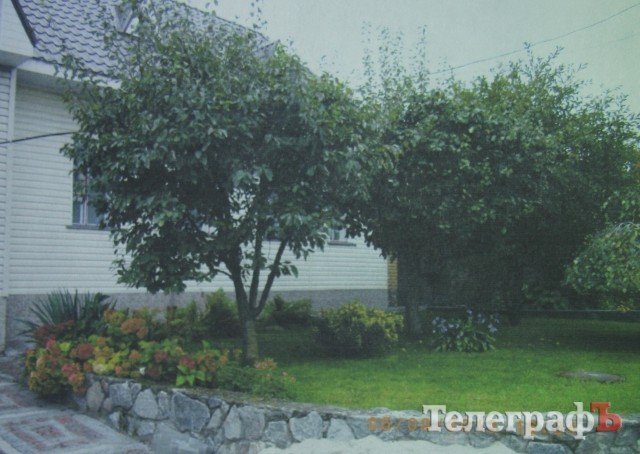 «Райские кущи» Автозаводского района Кременчуга «Райские кущи» Автозаводского района Кременчуга