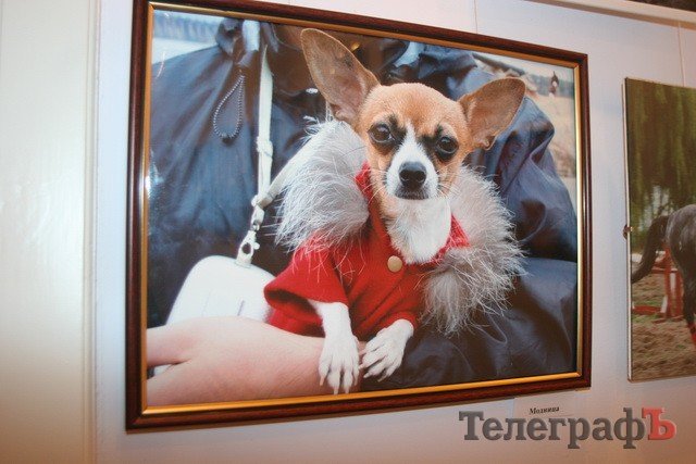 «С любовью в сердце»: фотовыставка Татьяны Кочуровой «С любовью в сердце»: фотовыставка Татьяны Кочуровой