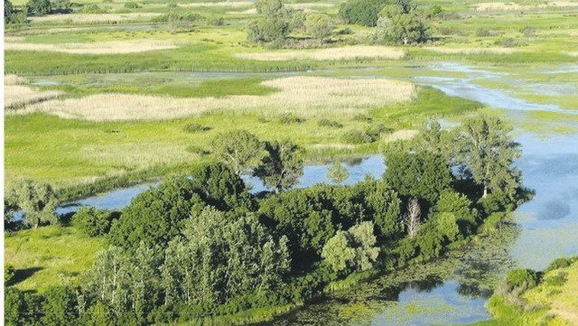 Азбука кременчужанина Азбука кременчужанина