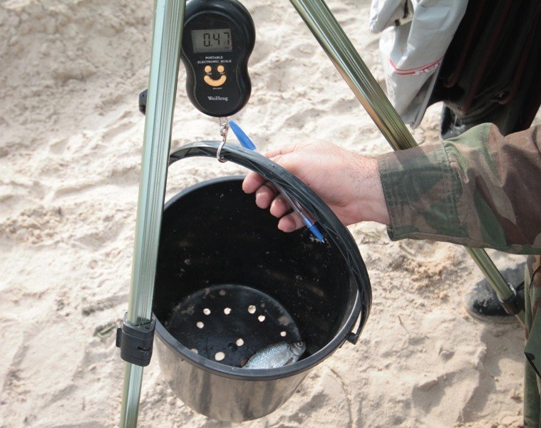 На берегу Днепра на нудистском пляже рыбаки завершили сезон рыбной ловли На берегу Днепра на нудистском пляже рыбаки завершили сезон рыбной ловли