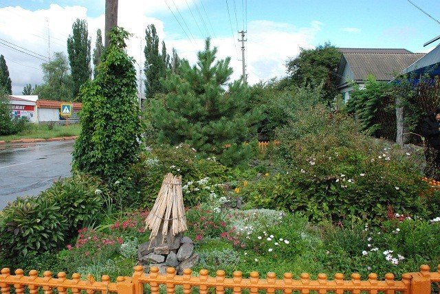 В Кременчуге за лучшие клумбы выдали сертификаты на новые саженцы В Кременчуге за лучшие клумбы выдали сертификаты на новые саженцы