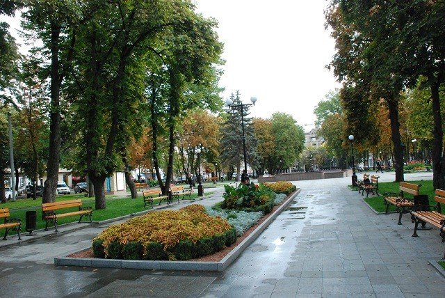 В Кременчуге за лучшие клумбы выдали сертификаты на новые саженцы В Кременчуге за лучшие клумбы выдали сертификаты на новые саженцы