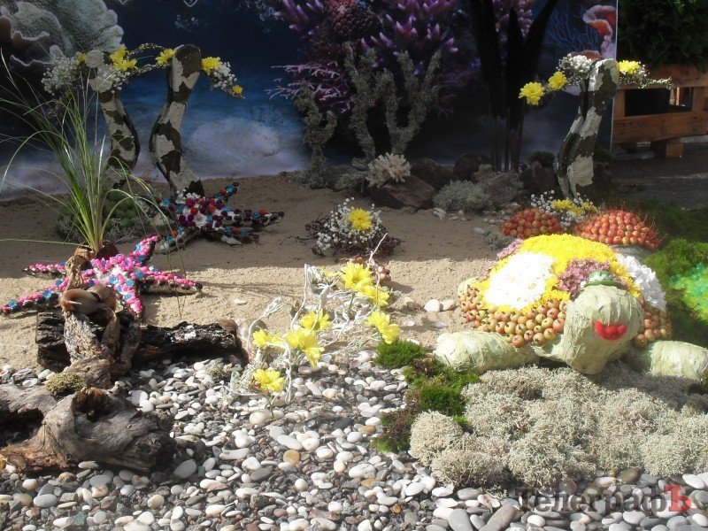 Победительницей кременчугского «Парада цветов-2013» стала цветочная корова Победительницей кременчугского «Парада цветов-2013» стала цветочная корова