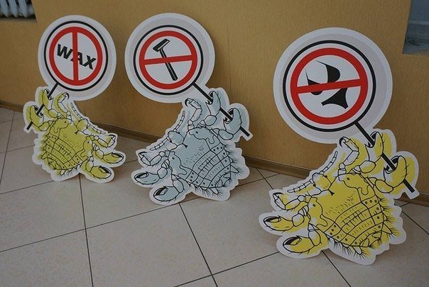 Кременчужанин защищал в Донецке лобковых вшей и художественную культуру Кременчужанин защищал в Донецке лобковых вшей и художественную культуру