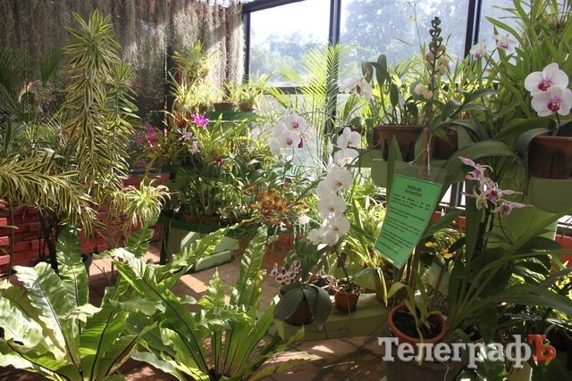 На Шри-Ланке украинцев считают богачами На Шри-Ланке украинцев считают богачами