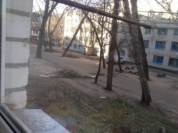 В Кременчуге стихия повалила два дерева и электрооопору В Кременчуге стихия повалила два дерева и электрооопору