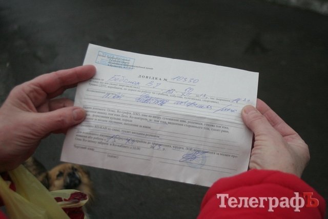 Свора бродячих собак держит в страхе кременчужан Свора бродячих собак держит в страхе кременчужан