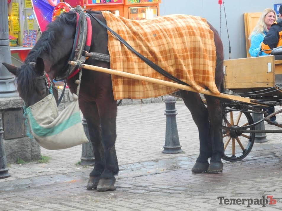 «Жизнь – это яркое путешествие!» «Жизнь – это яркое путешествие!»