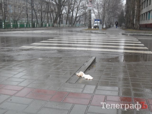 В Кременчуге произошла кровавая драка В Кременчуге произошла кровавая драка