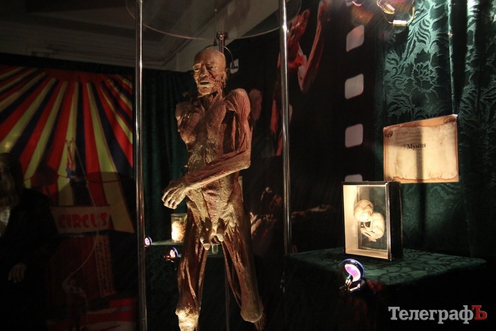 Двуглавый Паскуаль и грудь порноактрисы в Кременчуге Двуглавый Паскуаль и грудь порноактрисы в Кременчуге