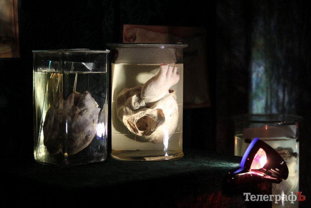 Двуглавый Паскуаль и грудь порноактрисы в Кременчуге Двуглавый Паскуаль и грудь порноактрисы в Кременчуге