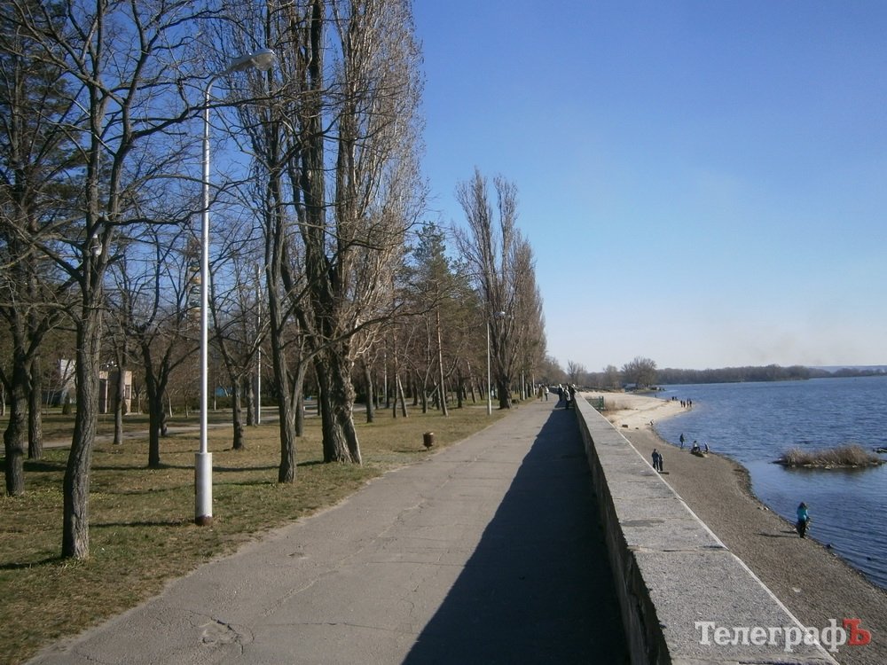 Тополя вдоль набережной Днепра в Приднепровском парке проредят Тополя вдоль набережной Днепра в Приднепровском парке проредят