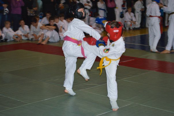 Кременчужане привезли призовые места по рукопашному бою Кременчужане привезли призовые места по рукопашному бою