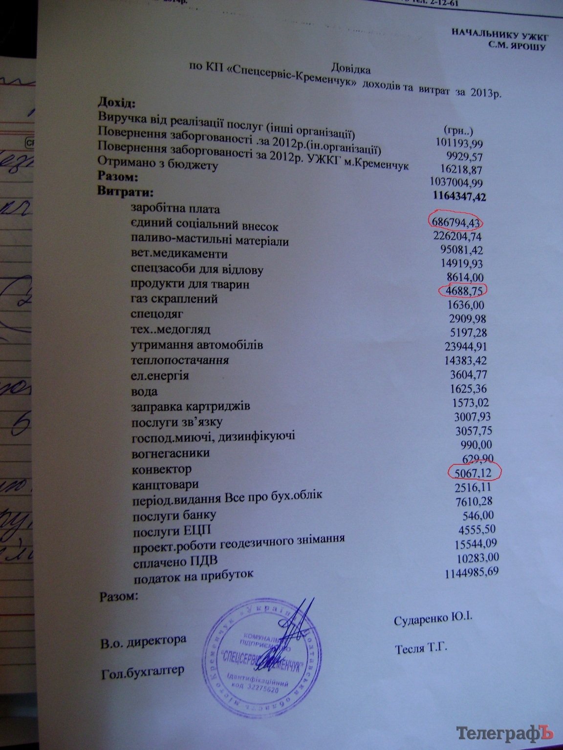 Гарифов за месяц «съедал» больше, чем за год все собаки в кременчугском приюте Гарифов за месяц «съедал» больше, чем за год все собаки в кременчугском приюте