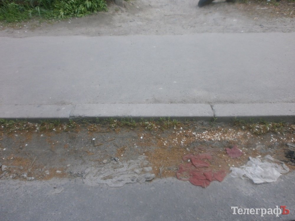 На что жаловались кременчужане мэру во время объезда города На что жаловались кременчужане мэру во время объезда города