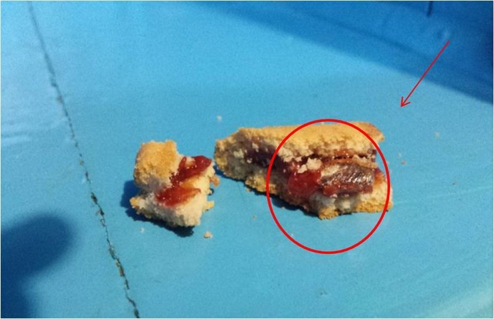Осужденному Кременчугской исправительной колонии № 69 пытались передать печенье с «сюрпризом» Осужденному Кременчугской исправительной колонии № 69 пытались передать печенье с «сюрпризом»