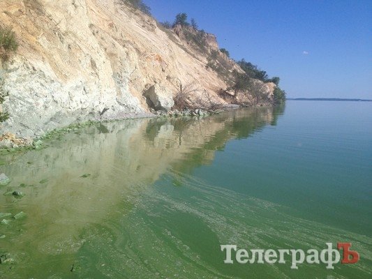 Фотофакт: Кременчугское водохранилище зазеленело Фотофакт: Кременчугское водохранилище зазеленело