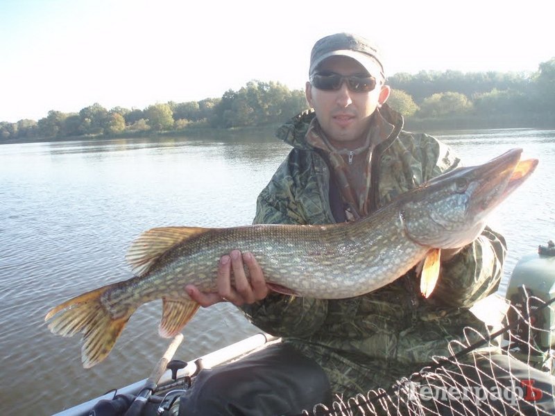 Конкурс "Вот это улов": последний день голосования! Конкурс "Вот это улов": последний день голосования!