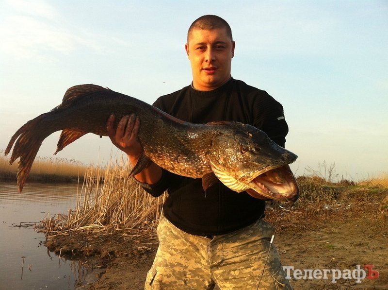 Конкурс "Вот это улов": последний день голосования! Конкурс "Вот это улов": последний день голосования!