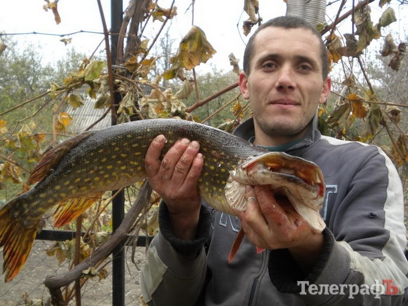 Конкурс "Вот это улов": последний день голосования! Конкурс "Вот это улов": последний день голосования!