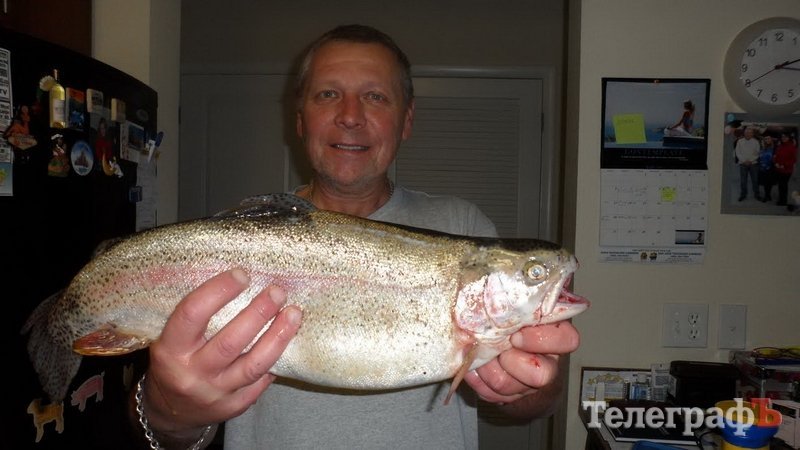 Конкурс "Вот это улов": последний день голосования! Конкурс "Вот это улов": последний день голосования!