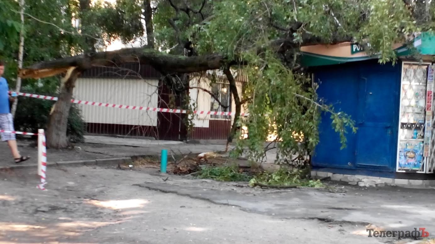 В Кременчуге дерево упало на киоск В Кременчуге дерево упало на киоск