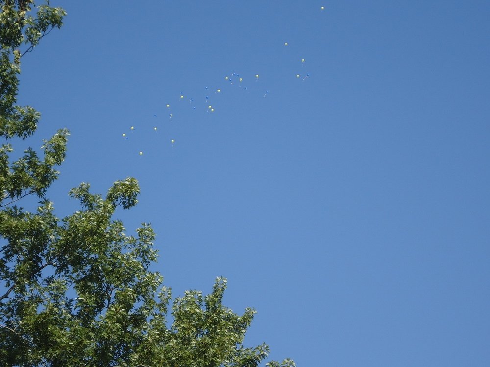 День знаний в Кременчуге День знаний в Кременчуге