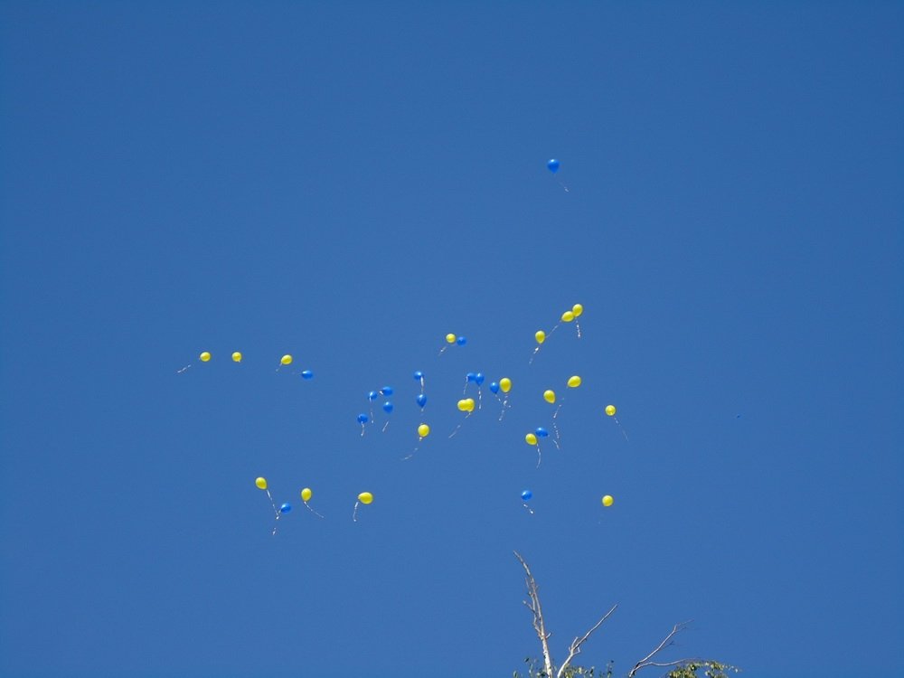 День знаний в Кременчуге День знаний в Кременчуге