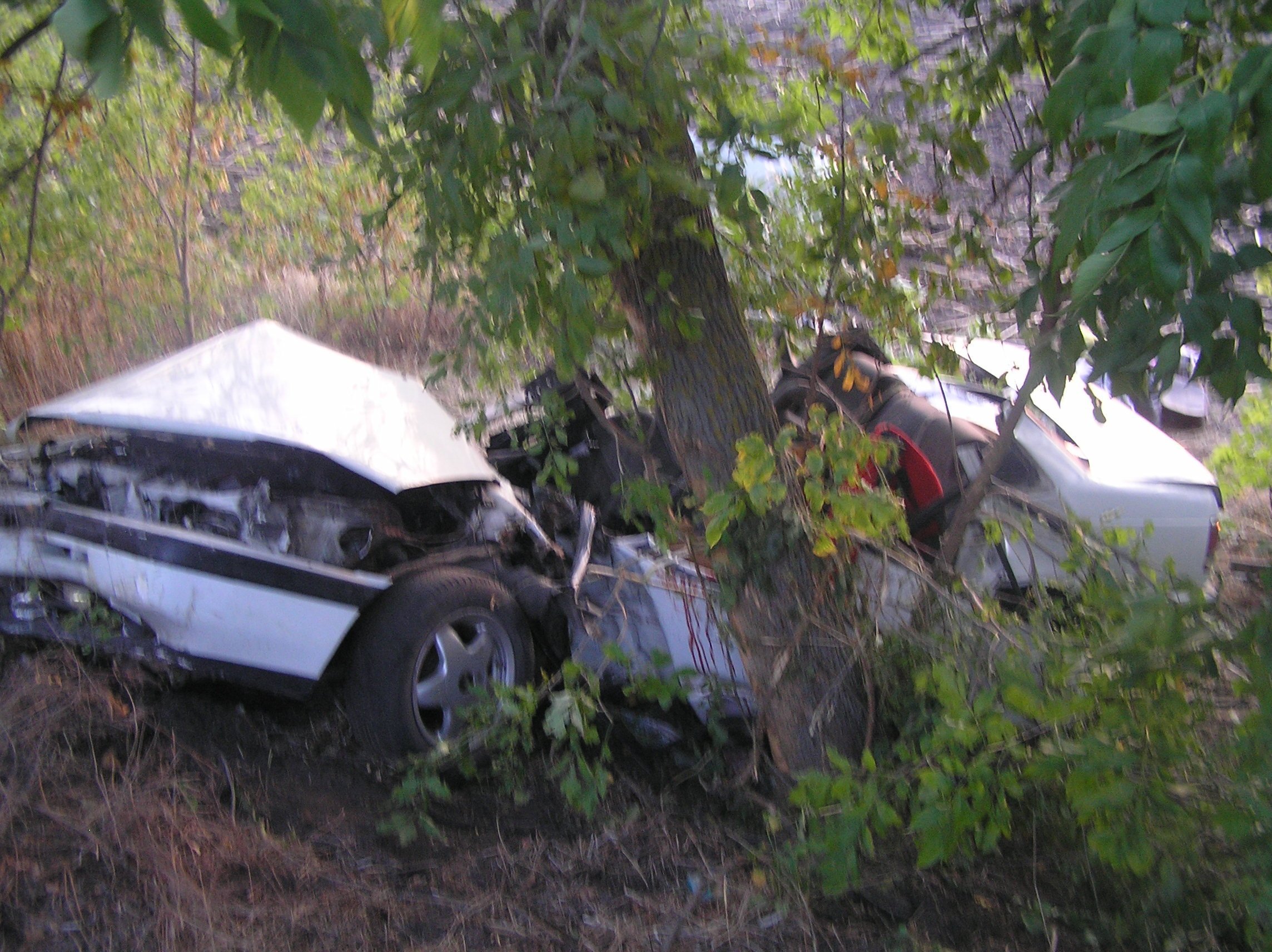 Под Кременчугом пять человек пострадало в ДТП - трое из них дети Под Кременчугом пять человек пострадало в ДТП - трое из них дети