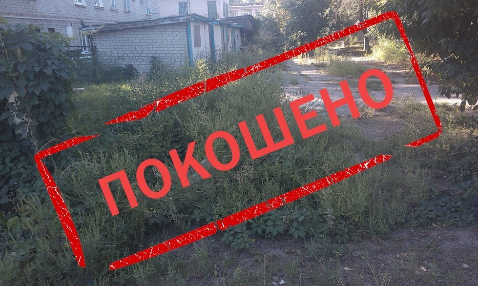 Борьба с амброзией: ИТОГИ Борьба с амброзией: ИТОГИ