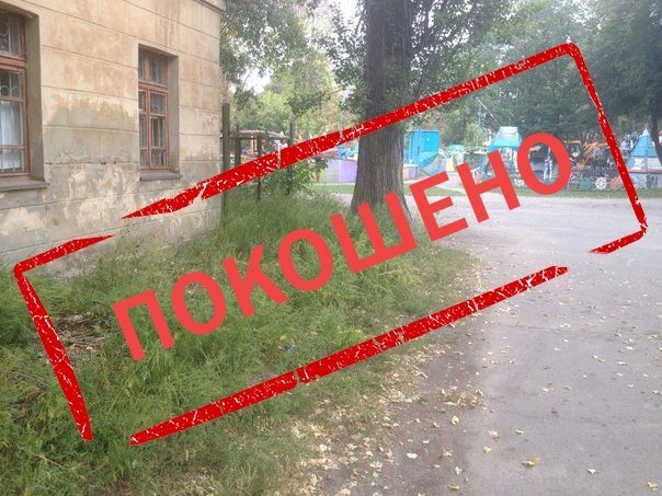 Борьба с амброзией: ИТОГИ Борьба с амброзией: ИТОГИ